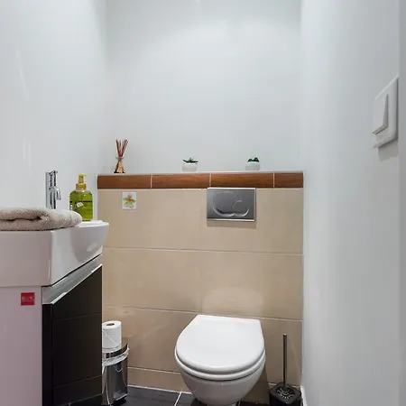 Pref 2 - F4 - Vaste Et Bourgeois ,3 Chambres, Ascenseur, Vx-nice Apartment
